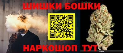 молекула духа Будённовск