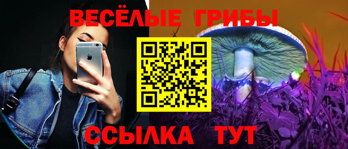 Галлюциногенные грибы Psilocybe  Псилоцибиновые грибы Psilocybine cubensis  Вход с VPN  Самара 