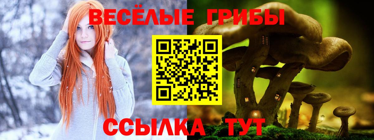 Галлюциногенные грибы Magic Shrooms Самара